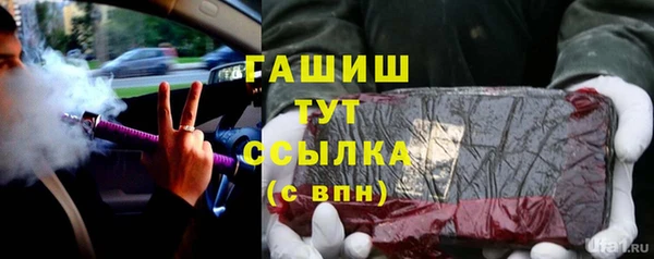 индика Гусь-Хрустальный