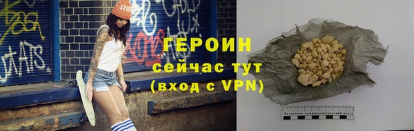 молекула духа Вяземский