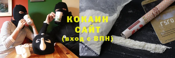 индика Гусь-Хрустальный