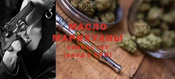 индика Гусь-Хрустальный