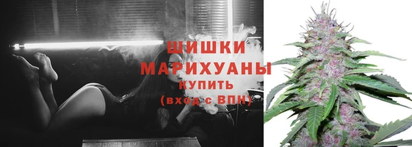 каннабис Дмитров