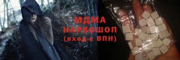 индика Гусь-Хрустальный