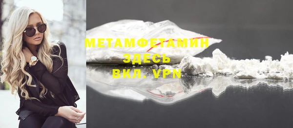 индика Гусь-Хрустальный