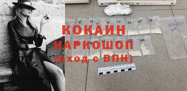 индика Гусь-Хрустальный