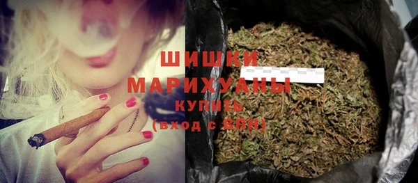 индика Гусь-Хрустальный