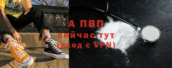 индика Гусь-Хрустальный