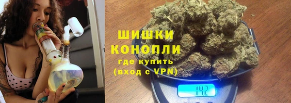 индика Гусь-Хрустальный