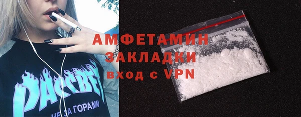 индика Гусь-Хрустальный