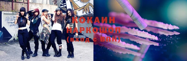 молекула духа Вяземский