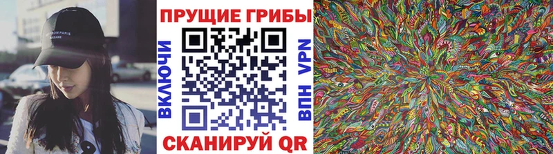 Псилоцибиновые грибы Psilocybine cubensis  цены   Верхняя Салда 
