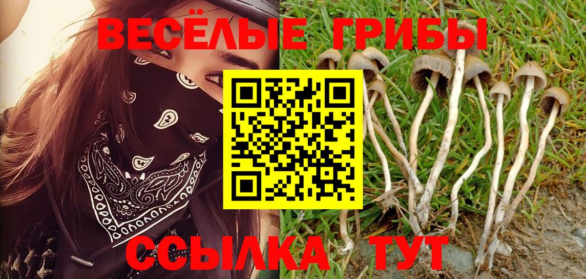 Меф кристаллы  Кокаин  ТГК  Гашиш  Марихуана  Верхняя Салда  ЭКСТАЗИ  МЕФ  